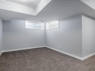 Photo 22: 166 SKYVIEW Circle NE in Calgary: Skyview Ranch Row/Townhouse for sale : MLS®# C4277691