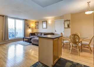 Photo 14: 1002 1540 29 Street NW in Calgary: St Andrews Heights Apartment for sale : MLS®# A1221610