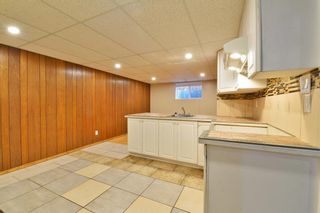 Photo 20: 3643 Dover Ridge Drive SE in Calgary: Dover Detached for sale : MLS®# A1039368