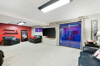 Photo 26: 171 BERMUDA Way NW in Calgary: Beddington Heights Detached for sale : MLS®# A2132267