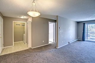 Photo 3: 4219 4975 130 Avenue SE in Calgary: McKenzie Towne Apartment for sale : MLS®# A1234393