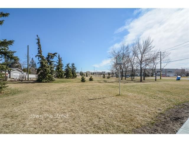 Photo 48: Photos: 519 MURPHY Place NE in Calgary: Mayland Heights House for sale : MLS®# C4110120