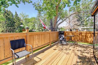 Photo 20: 311 Whitehorn Place in Calgary: Whitehorn Detached for sale : MLS®# A1240329
