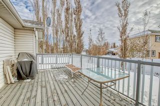 Photo 40: 269 WESTCHESTER Green: Chestermere Detached for sale : MLS®# A2010625
