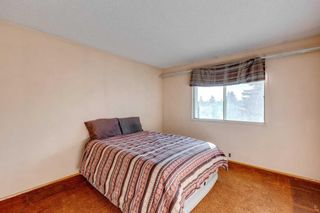 Photo 11: 76 Dovercrest Way SE in Calgary: Dover Detached for sale : MLS®# A2105476