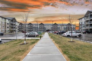 Photo 33: 3403 181 Skyview Ranch Manor NE in Calgary: Skyview Ranch Apartment for sale : MLS®# A1217145