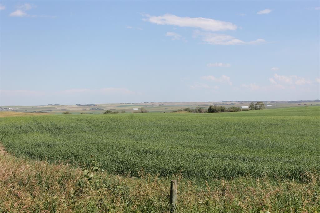 Main Photo: 149.51 Acres Range Road 35 in Rural Rocky View County: Rural Rocky View MD Residential Land for sale : MLS®# A1179264