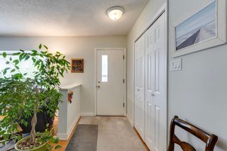 Photo 5: 4015 4 Avenue SW in Calgary: Wildwood Detached for sale : MLS®# A2052094
