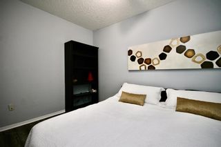 Photo 6: 303 1717 60 Street SE in Calgary: Red Carpet Apartment for sale : MLS®# A1152077