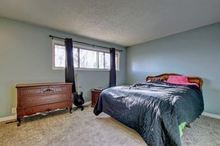 Photo 19: 7 PINEBROOK Place NE in Calgary: Pineridge Detached for sale : MLS®# C4221689