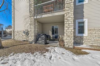Photo 17: 2109 2600 66 Street NE in Calgary: Pineridge Apartment for sale : MLS®# A2033991