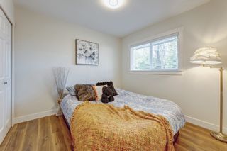 Photo 33: 3435 RALEIGH Street in Port Coquitlam: Woodland Acres PQ House for sale : MLS®# R2839280