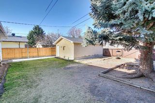 Photo 45: 403 Foritana Road SE in Calgary: Forest Heights Detached for sale : MLS®# A1107679
