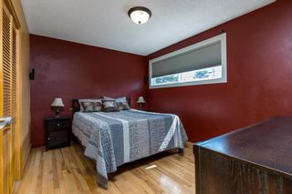 Photo 18: 2323 Lincoln Drive SW in Calgary: North Glenmore Park Detached for sale : MLS®# A2041497