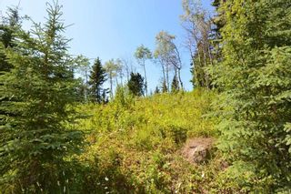 Photo 19: LOT 1 HISLOP Road in Smithers: Smithers - Rural Land for sale in "Hislop Road Area" (Smithers And Area (Zone 54))  : MLS®# R2491414