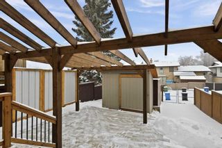 Photo 11: 37 Edgewood Drive NW in Calgary: Edgemont Semi Detached (Half Duplex) for sale : MLS®# A2105158