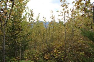 Photo 6: Lot 82 Sunset Drive: Eagle Bay Land Only for sale (Shuswap)  : MLS®# 10186646