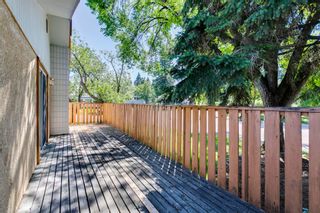 Photo 35: 1111 47 Street SW in Calgary: Westgate Detached for sale : MLS®# A1219045