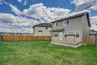 Photo 33: 51 Skyview Springs Cove NE in Calgary: Skyview Ranch Detached for sale : MLS®# C4186074