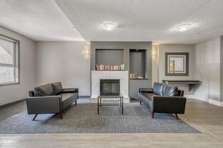 Photo 25: 3206 73 Erin Woods Court SE in Calgary: Erin Woods Apartment for sale : MLS®# A2055179