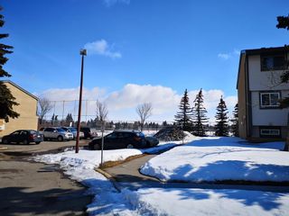 Photo 34: 86 2720 Rundleson Road NE in Calgary: Rundle Row/Townhouse for sale : MLS®# A2034935