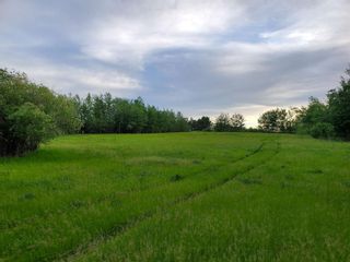 Photo 5: 53145 RGE RD 223: Rural Strathcona County Rural Land/Vacant Lot for sale : MLS®# E4272656