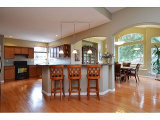 Photo 8: 10351 167A ST in Surrey: Fraser Heights House for sale (North Surrey)  : MLS®# F1422176