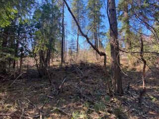 Photo 11: Lot L VIEW RIDGE ROAD in Nelson: Vacant Land for sale : MLS®# 2460797