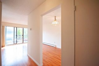 Photo 14: 222 8051 RYAN Road in Richmond: South Arm Condo for sale in "Mayfair Court" : MLS®# R2692823