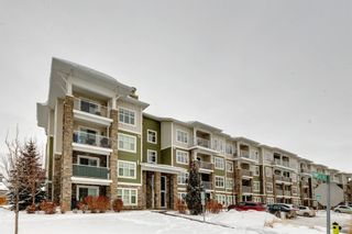 Photo 1: 1207 11 Mahogany Row SE in Calgary: Mahogany Apartment for sale : MLS®# A2030394
