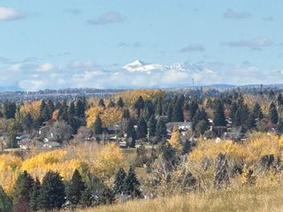 Photo 3: 36 Mt Alberta Green SE in Calgary: McKenzie Lake Detached for sale : MLS®# A2066681