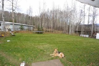 Photo 20: 5251 N 1ST Avenue: Hazelton Agri-Business for sale (Smithers And Area (Zone 54))  : MLS®# C8017722