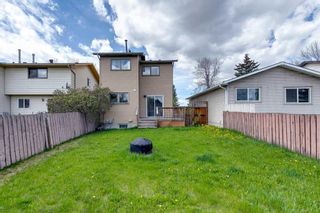 Photo 33: 3610 39 Street NE in Calgary: Whitehorn Detached for sale : MLS®# A2131652