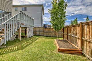 Photo 37: 240 Copperstone Gardens SE in Calgary: Copperfield Detached for sale : MLS®# A2050555