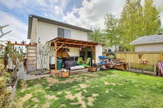 Photo 30: 132 Mt Allan Circle SE in Calgary: McKenzie Lake Detached for sale : MLS®# A1110317