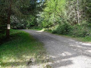 Photo 3: 5999 FORBIDDEN PLATEAU ROAD in COURTENAY: CV Courtenay West House for sale (Comox Valley)  : MLS®# 787510