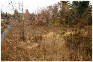 Photo 8: 480 Southeast 30 Street in Salmon Arm: SE Vacant Land for sale : MLS®# 10171761
