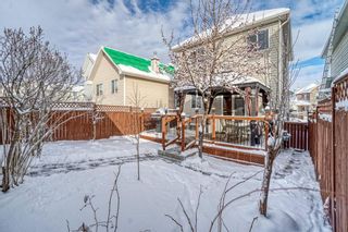 Photo 33: 239 Bridlewood Avenue SW in Calgary: Bridlewood Detached for sale : MLS®# A1181898