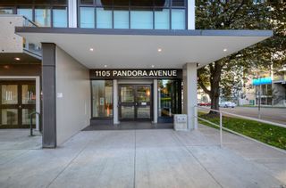 Photo 1: 210 1105 Pandora Ave in Victoria: Vi Downtown Condo for sale : MLS®# 946419