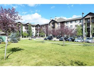 Photo 21: 2441 8 BRIDLECREST Drive SW in Calgary: Bridlewood Condo for sale : MLS®# C4084322