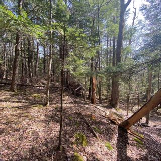 Photo 8: Lot 9 Old Trunk Highway 3 in Hebbs Cross: 405-Lunenburg County Vacant Land for sale (South Shore)  : MLS®# 202312886