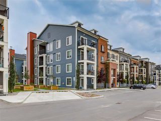 Photo 44: #3413 755 COPPERPOND BV SE in Calgary: Copperfield Condo for sale : MLS®# C4086900
