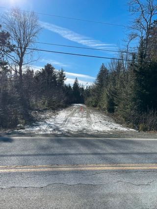 Photo 3: Lot C Highway 224 in Sheet Harbour: 35-Halifax County East Vacant Land for sale (Halifax-Dartmouth)  : MLS®# 202302149