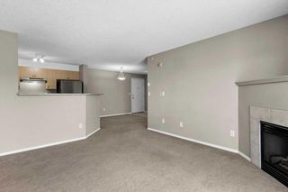 Photo 13: 320 4000 Citadel Meadow Point NW in Calgary: Citadel Apartment for sale : MLS®# A2123539
