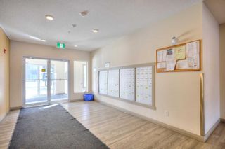 Photo 3: 1417 4641 128 Avenue NE in Calgary: Skyview Ranch Apartment for sale : MLS®# A2120557