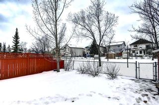 Photo 46: 116 Bridlewood Circle SW in Calgary: Bridlewood Detached for sale : MLS®# A2118131