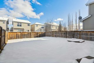 Photo 30: 189 Cougartown Circle SW in Calgary: Cougar Ridge Detached for sale : MLS®# A2107107