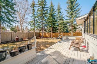 Photo 46: 247 Pump Hill Crescent SW in Calgary: Pump Hill Detached for sale : MLS®# A2117691