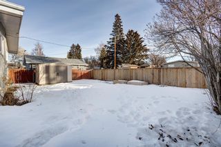 Photo 26: 639 Agate Crescent SE in Calgary: Acadia Detached for sale : MLS®# A2019203