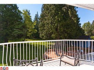 Photo 8: 2969 132ND Street in Surrey: Elgin Chantrell House for sale (South Surrey White Rock)  : MLS®# F1113623